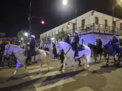 Police on horseback at night