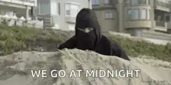 Ninja rolls on beach