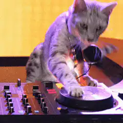 DJ Cat scratching record