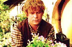 Bilbo Baggins smelling flowers