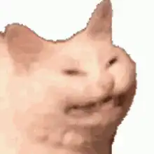 Smug Cat Face