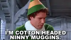 I'm cotton headed ninny muggins