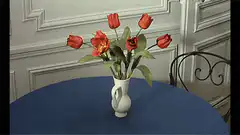 Red tulips bloom in a vase