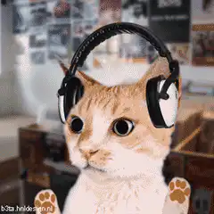 cat with headphones
