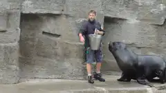 Zookeeper hugged by sea lion