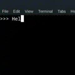 Hello World Print Command
