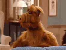 ALF sitting on a couch