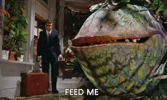 Audrey II demands to be fed