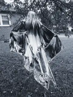 Ghost in a tattered cloak