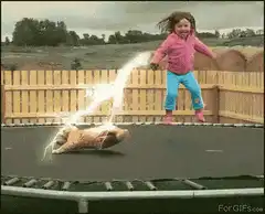 girl zaps dog on trampoline