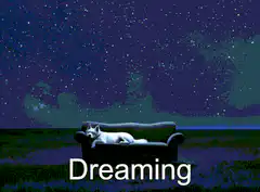 Cat Dreaming on Couch Under Stars