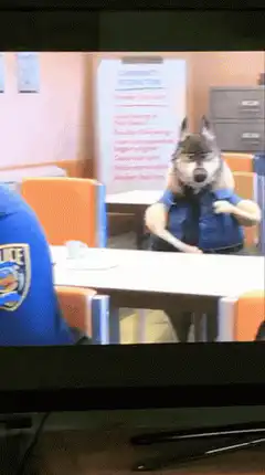 Wolf relaxes at community meeting