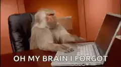 Monkey typing on laptop forgets