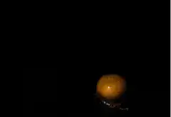 popcorn kernel popping