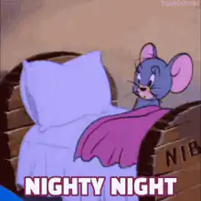 Jerry getting into bed nighty night