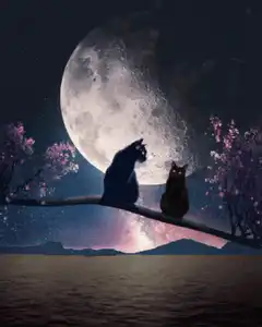 Two cats watching a shooting star