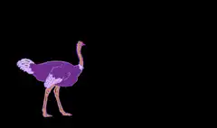 ostrich laser eyes instagram