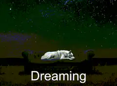 Dreaming dog on a couch