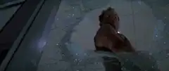Man breaks through glass ceiling