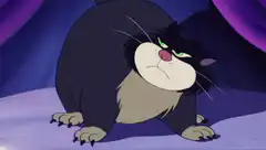 Lucifer cat turns around