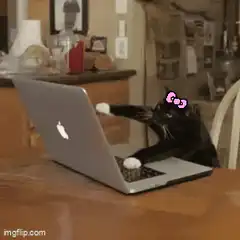 black cat typing on laptop