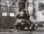 Man lifts woman and she falls