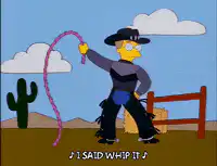 Homer Simpson cowboy whip it
