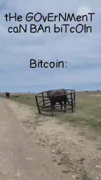 Bitcoin bull in a pen