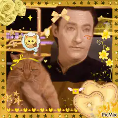 Hugh Grant and cat with sparkles