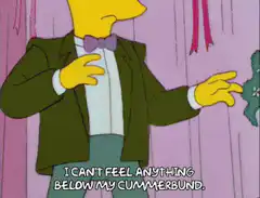 Homer Simpson can't feel anything below his cummerbund