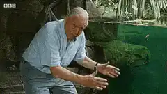 David Attenborough catches a fish