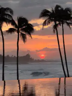 sunset over ocean with palm trees