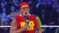 Hulk Hogan Brother Tell You Somethin