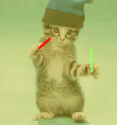DJ kitten with hat