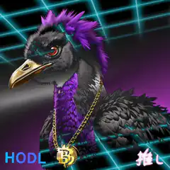HODL Bitcoin Vulture