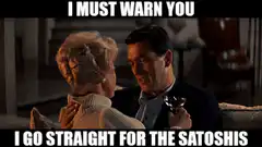 I Must Warn You I Go Straight For The Satoshis