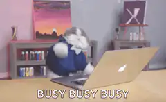 Busy busy busy cat