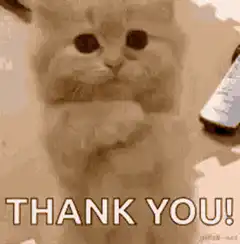 Cat bowing and saying thank you