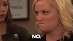 Leslie Knope says no