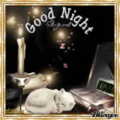 Sleeping cat with good night text