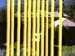 Dynasty title card with yellow bars