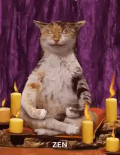 Zen cat meditating with candles