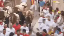 Bulls running through crowd