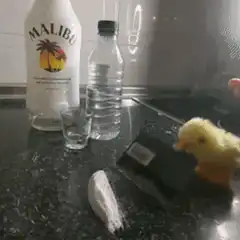 yellow chick cuts cocaine with knife