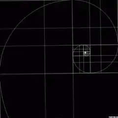 Golden Ratio Spiral Animation