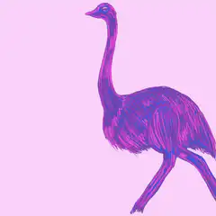 Ostrich and Head with Bitcoin Coins