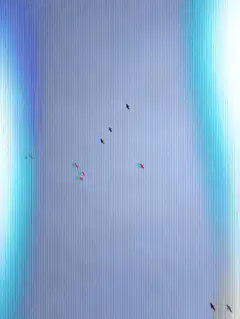 birds flying in a v formation