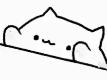 cute cat sliding back and forth