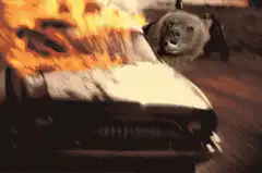 Bear in a burning car