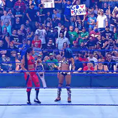 Wrestlers perform a double suplex